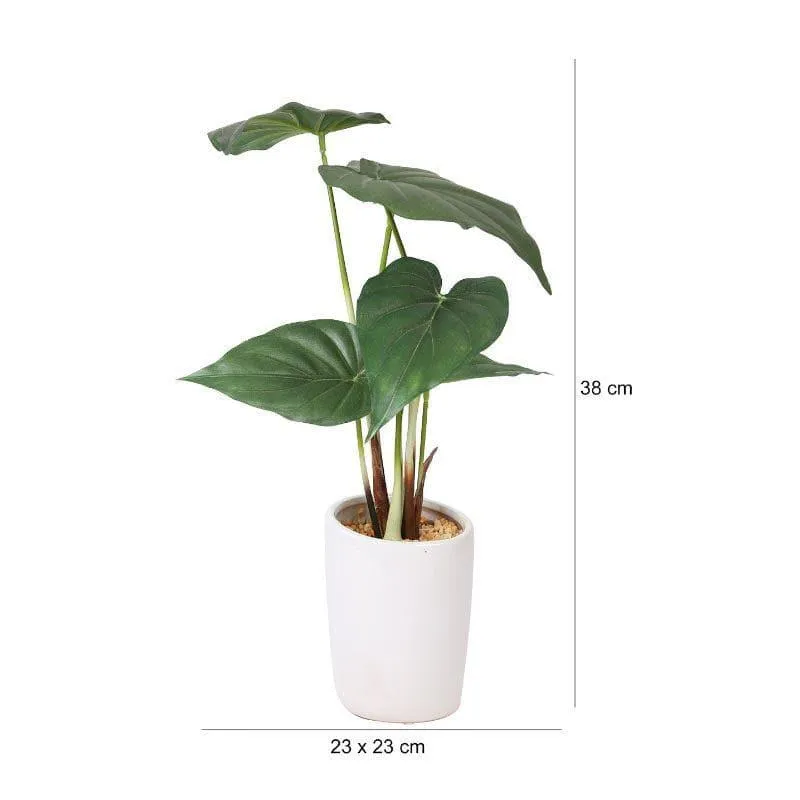 Faux Alocasia Bonsai In Ceramic Pot - 38 cms media 4