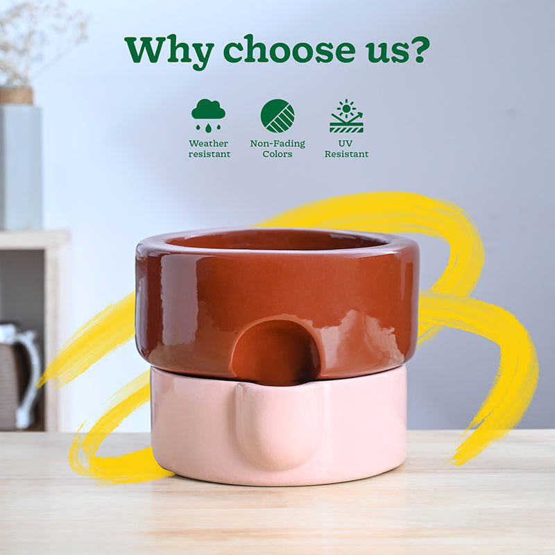 Ugaoo Lady Leafington Ceramic Planter - Terracotta & Pink media 6