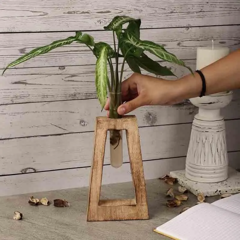 Rhombus Testube Planter - Brown media 3