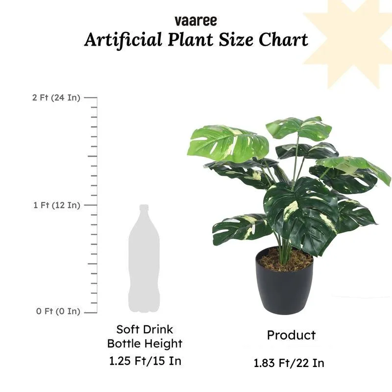 Faux Lush Variegated Monstera Plant With Black Plastic Pot - 1.8 Feet media 6