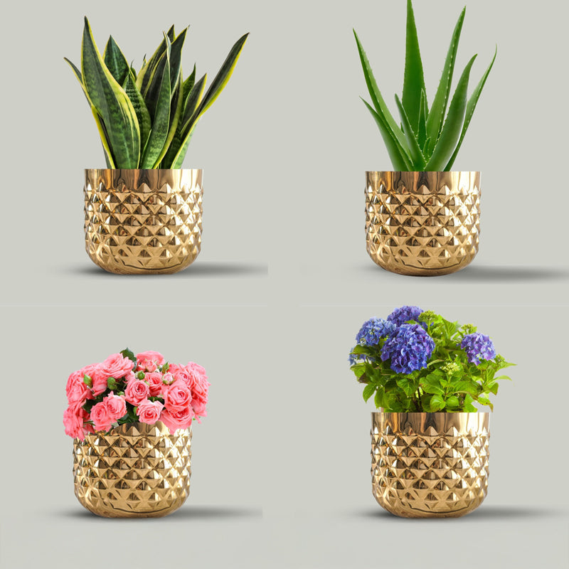Gildra Metal Planter - Set Of Four media 2