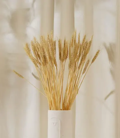 Natural Fiber