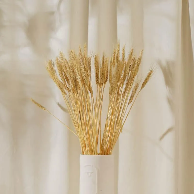 Dried Wheat Stems (60 cms) - Yellow media 1