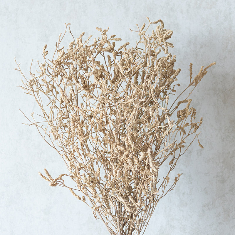 Dried Flowers & Leaves