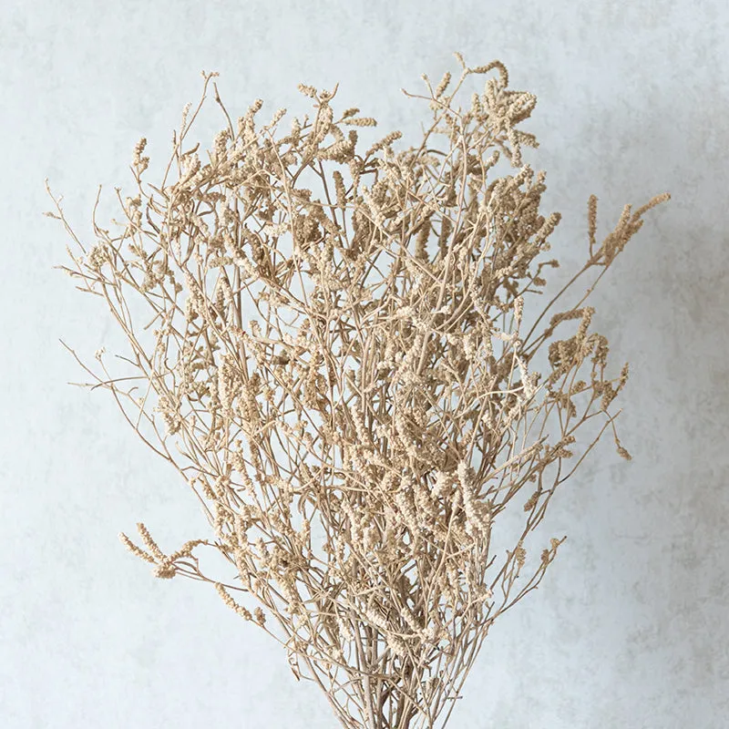 Ariel Dried Statice Flower Bunch media 1