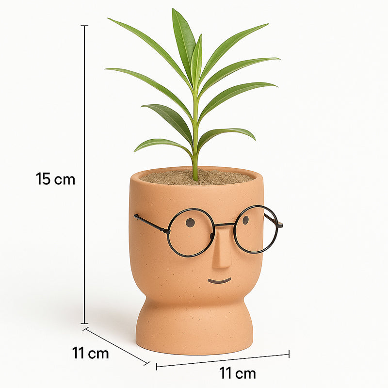 Cheeky Bloom Ceramic Planter - Orange media 8