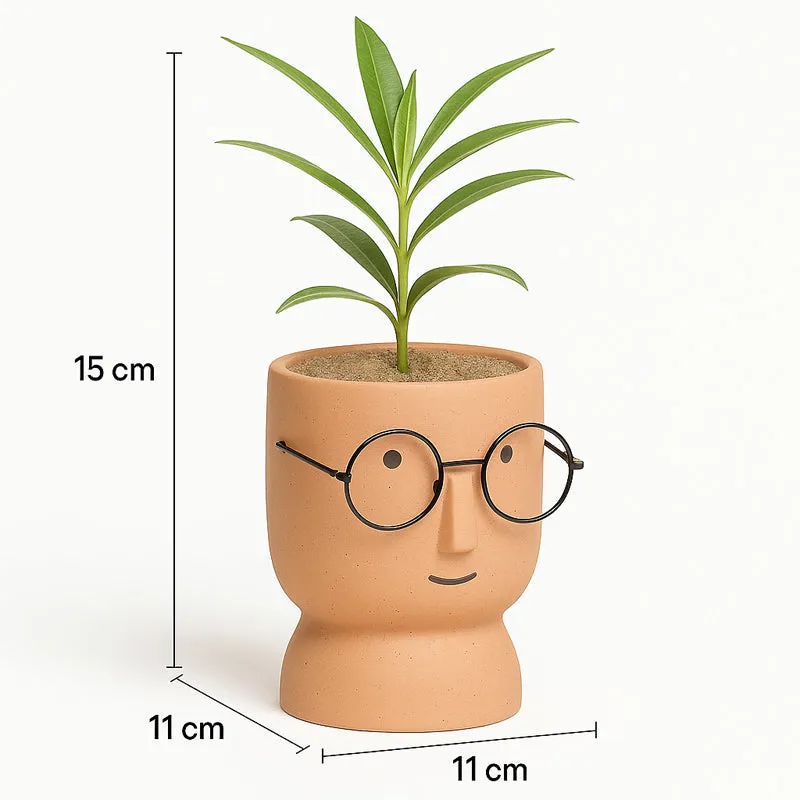 Cheeky Bloom Ceramic Planter - Orange media 8