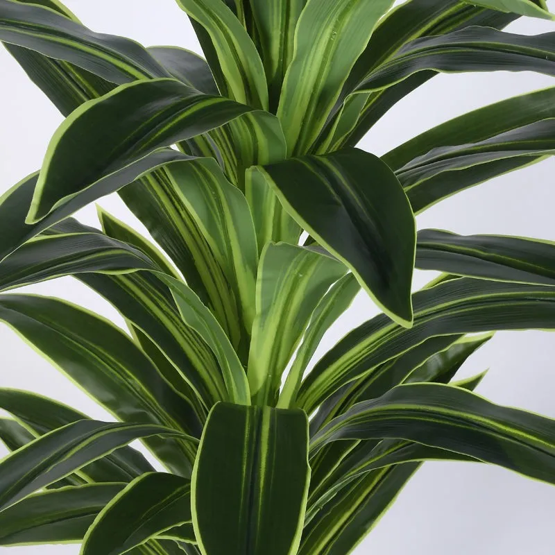 Everlyn Artificial Dracaena Plant With Black Fiber Pot - 4.6 Feet media 8