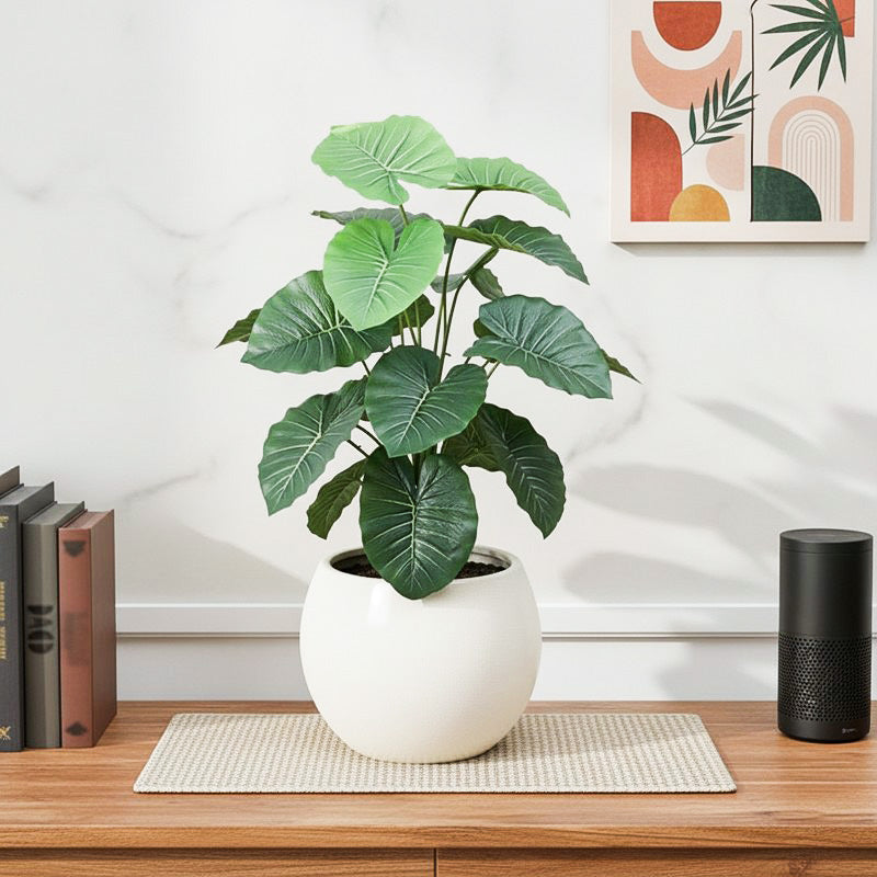 Serene Space Alocasia Artificial Plant Without Pot - 2.3 Feet