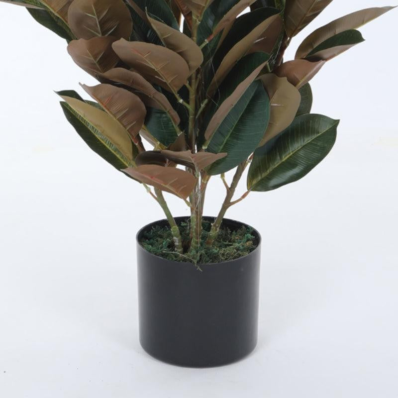 Faux Red Fig Rubber Plant With Black Plastic Pot - 2.79 ft media 6