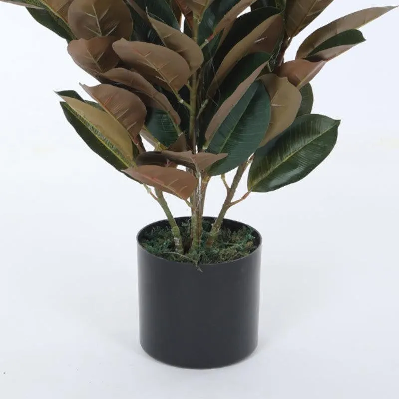 Faux Red Fig Rubber Plant With Black Plastic Pot - 2.79 ft media 6