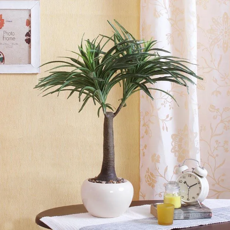 Faux Tall Nolina Bonsai In Ceramic Pot - 2.03 ft media 1