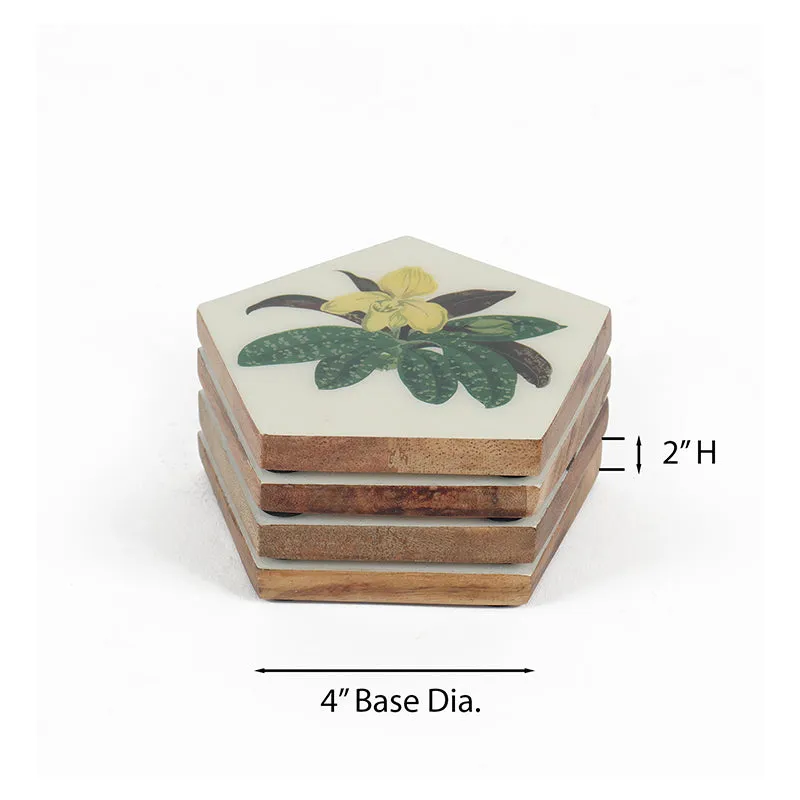 Valina Acacia Wood Coasters - Set Of Four media 5