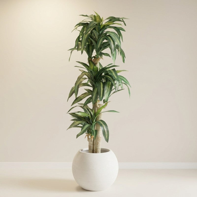 GreenWhisper Artificial Plant With Black Plastic Pot - 5.7 ft
