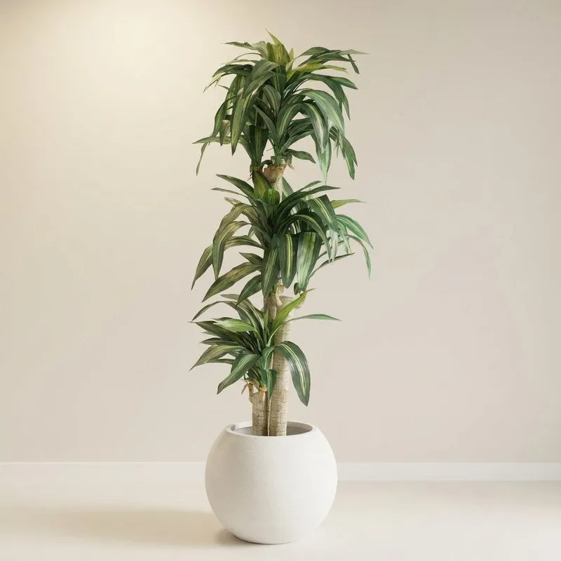 GreenWhisper Artificial Plant With Black Plastic Pot - 5.7 ft media 1