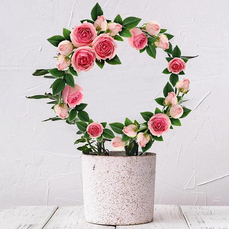 Loop Metal Plant Trellis Rings - Set of Two media 3