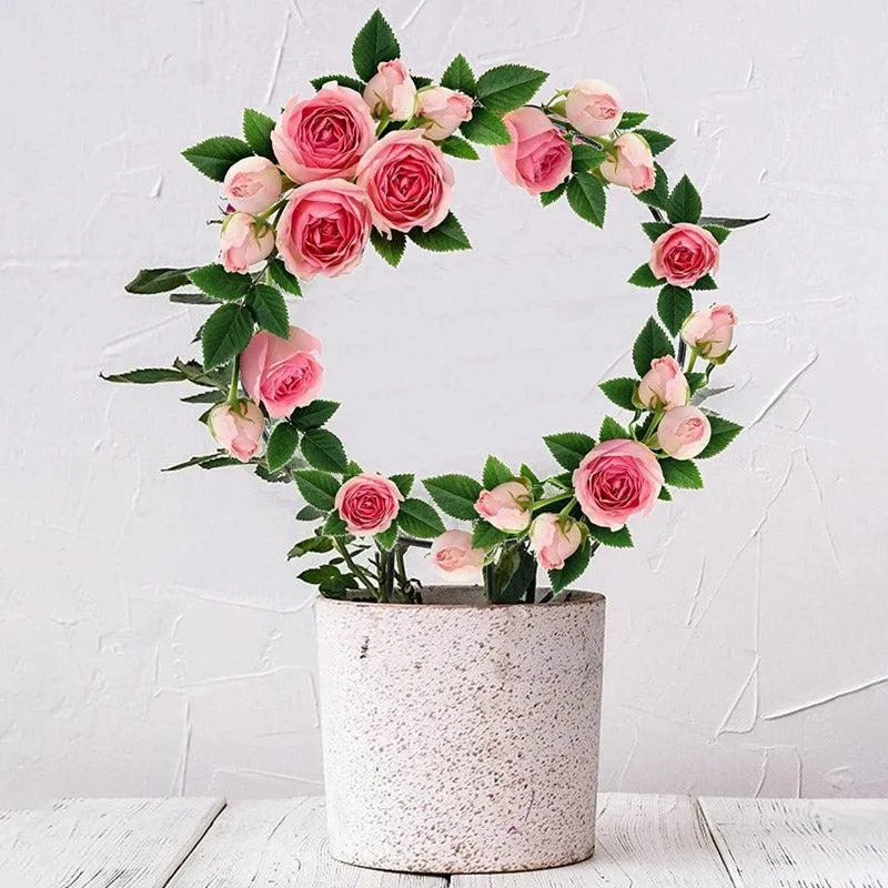 Loop Metal Plant Trellis Rings - Set of Two media 3