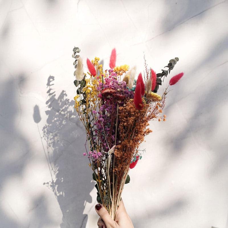 Dried Flowers & Leaves
