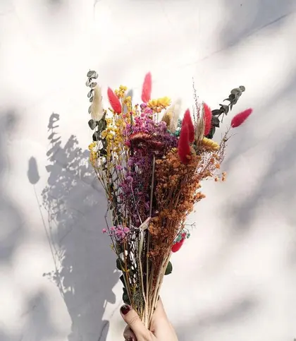 Dried Flowers & Leaves