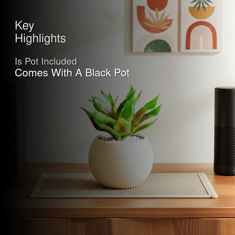 Alvera Artificial Aloe Vera Plant With Black Plastic Pot - 24 cm media 2