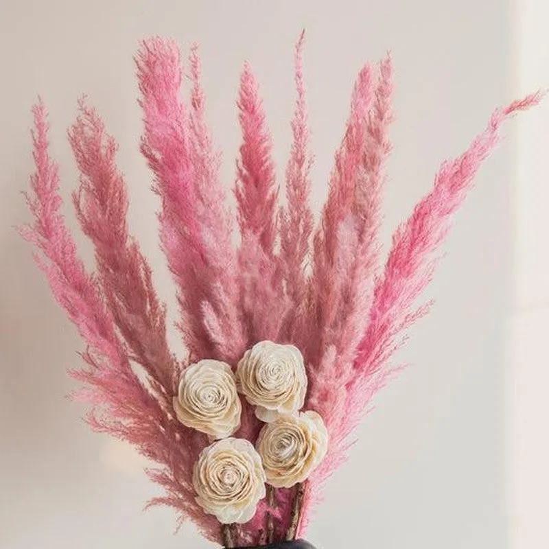 Sittora Pampas Bunch - Pink media 4