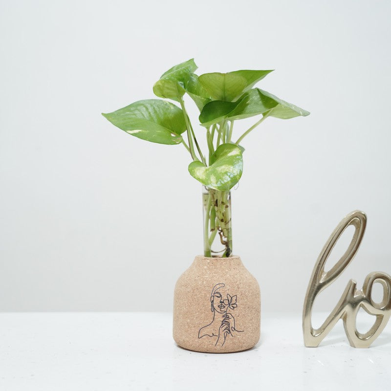 BloomEdge Home Planter - Two Piece Set media 3