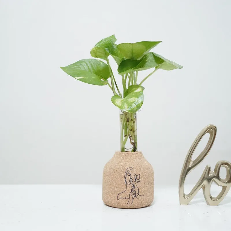 BloomEdge Home Planter - Two Piece Set media 3