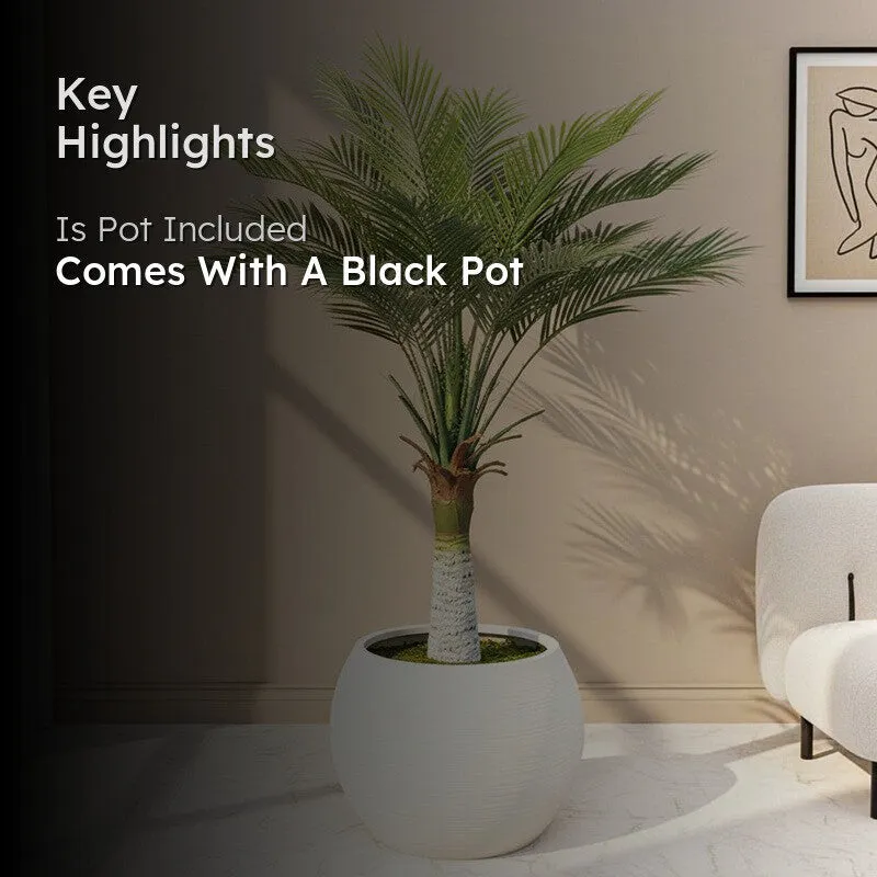 Faux Bottle Areca Plant With Black Plastic Pot - 3.61 ft media 2