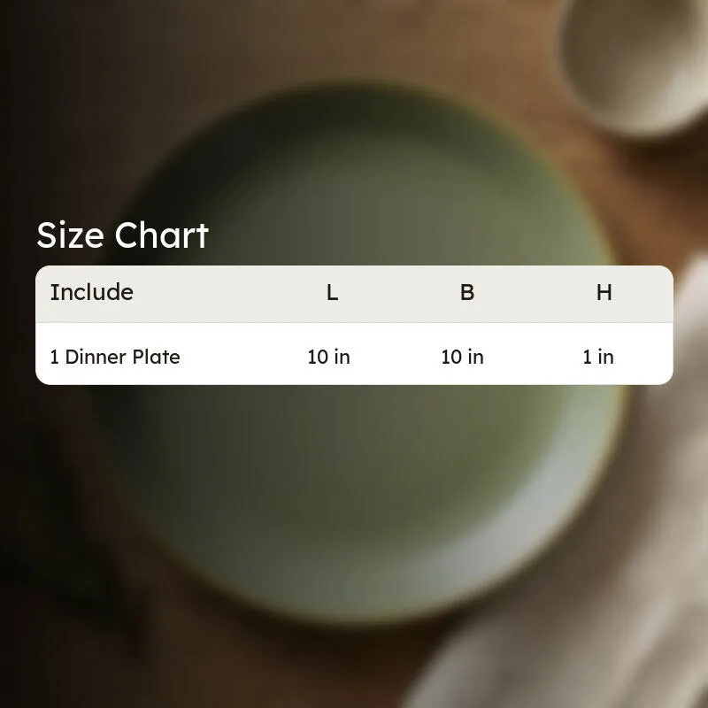 ServePad Ceramic Dinner Plate media 11