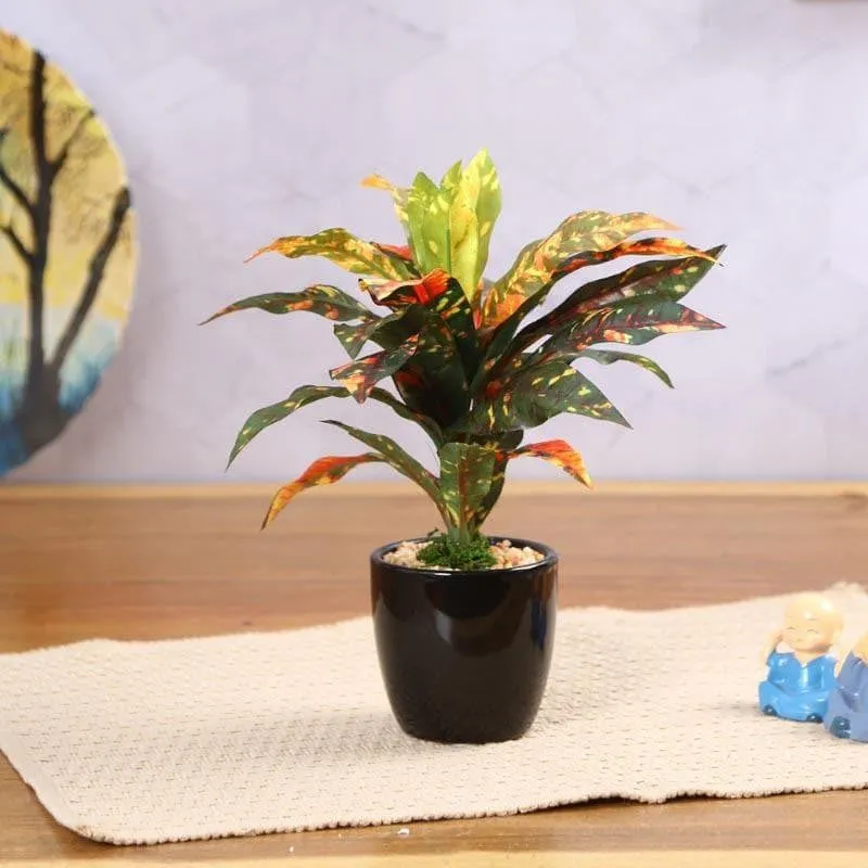 Faux Dracaena Bonsai (24 cms) - Yellow media 2