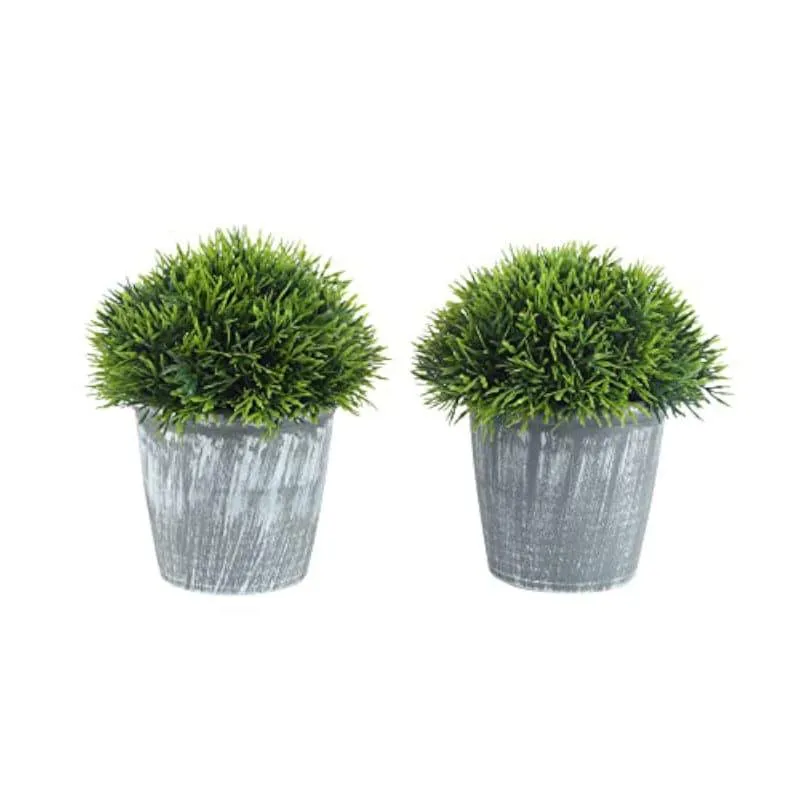 Leva Faux Plant In Garcia Pot (17 cms) - Set Of Two media 3