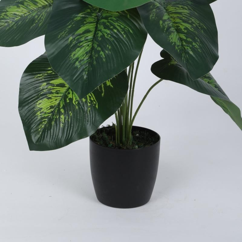 Faux Deco Dieffenbachia Silk Plant With Black Plastic Pot - 55 cms media 4