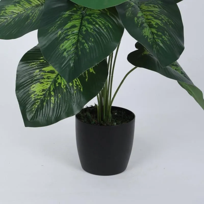 Faux Deco Dieffenbachia Silk Plant With Black Plastic Pot - 55 cms media 4