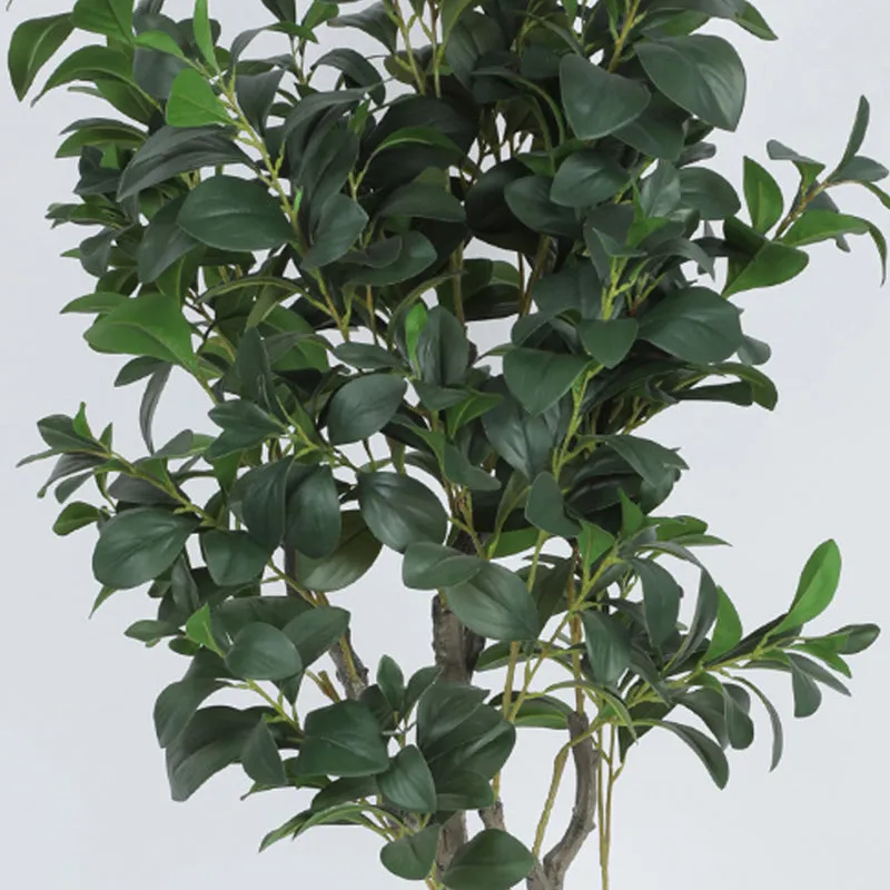 Villa Verde Artificial Ficus With Black Plastic Pot - 5.3 Feet media 4