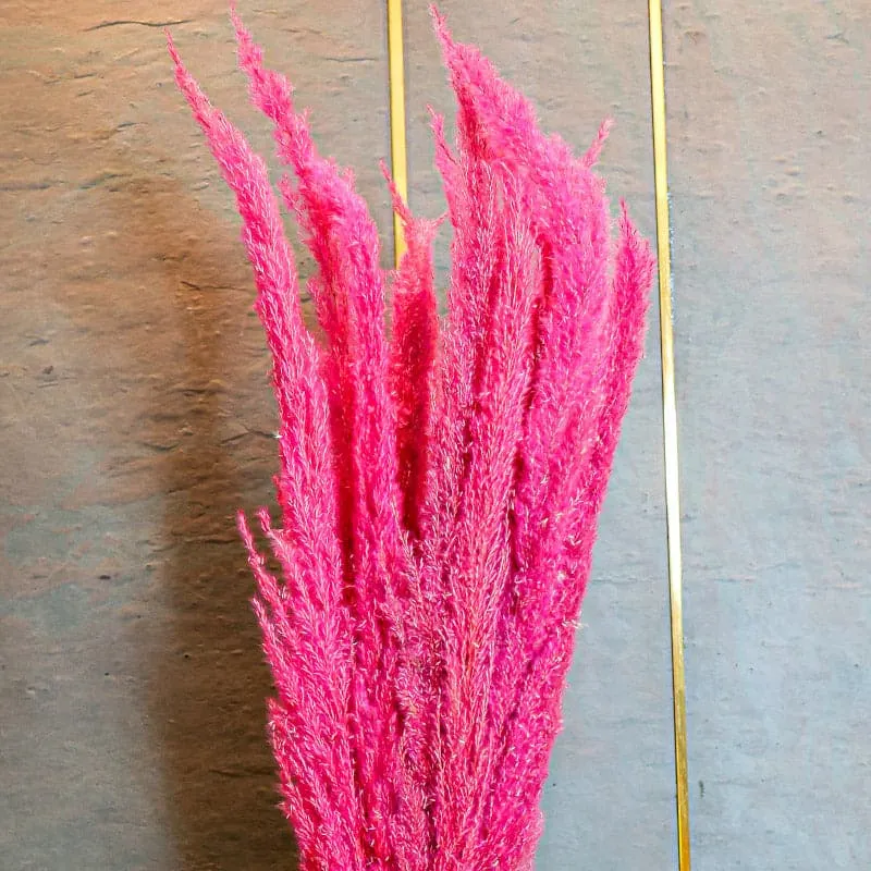 Naturally Dried Pampas Flower Bunch (Dark Pink) - Set Of Ten media 3