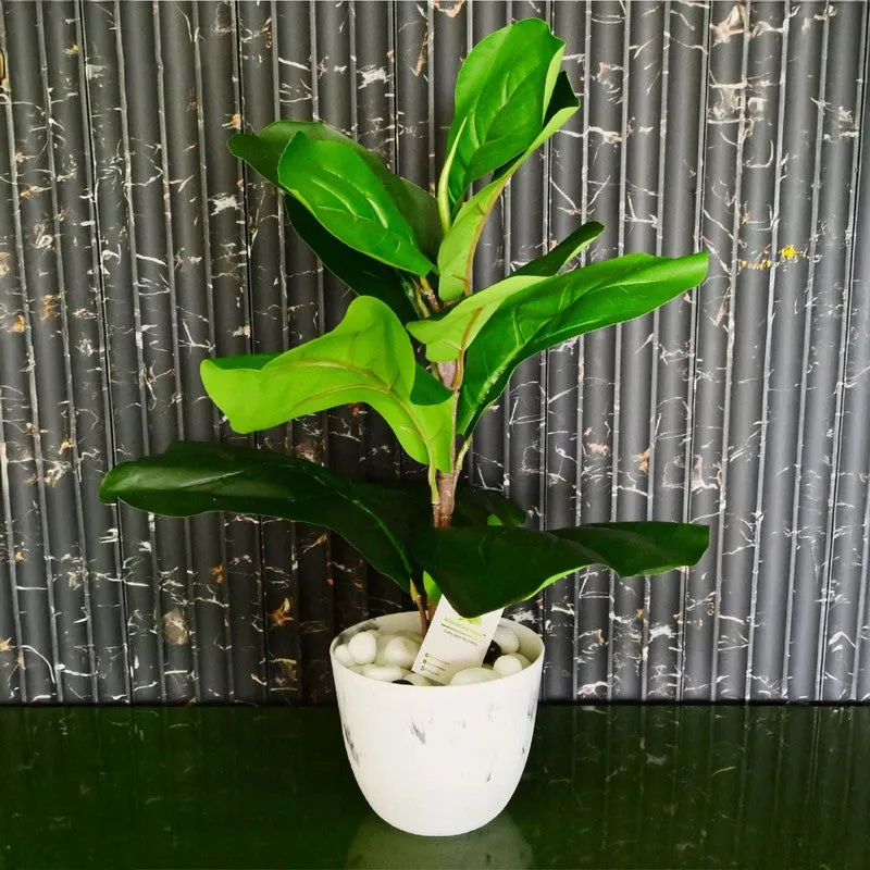 Alabaster Vein Garden Planter - Set Of Four media 5