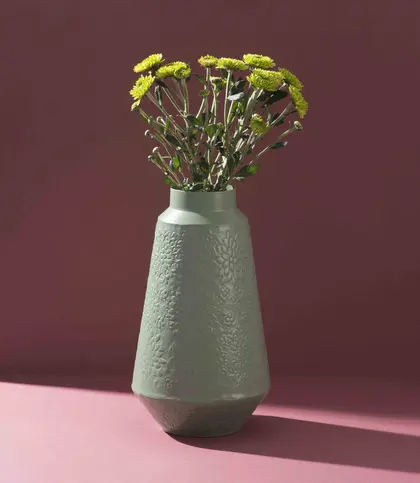 Iron