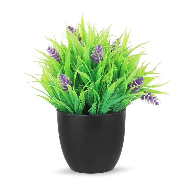 Leafzen Artificial Plant With Plastic Pot(Set of Two) - 0.7 Feet media 5