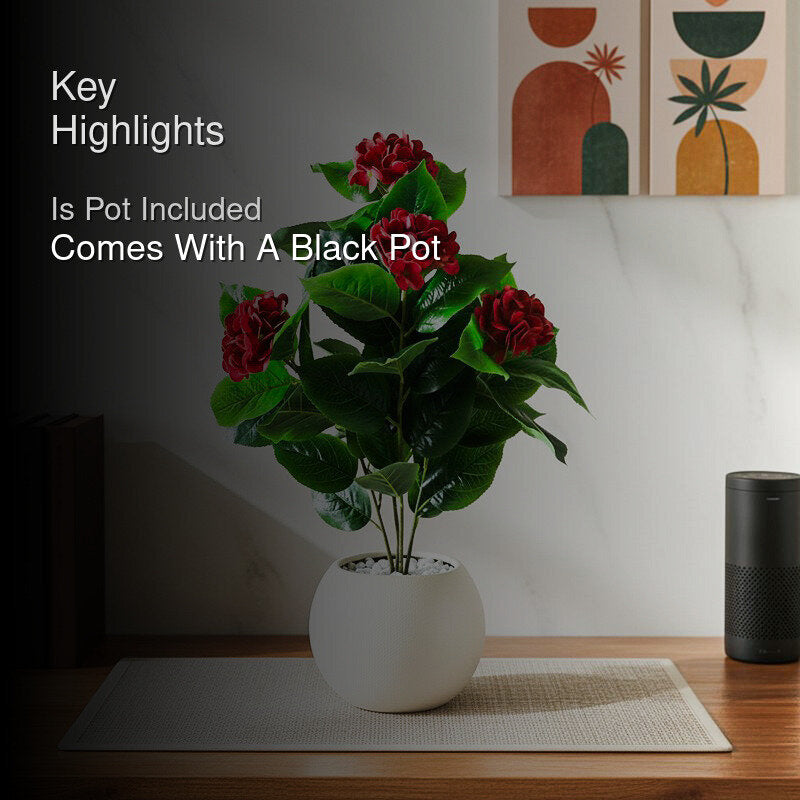 Faux Everlasting Hydrangea Plant With Black Plastic Pot (Red) - 76 cm (2.5 ft) media 2