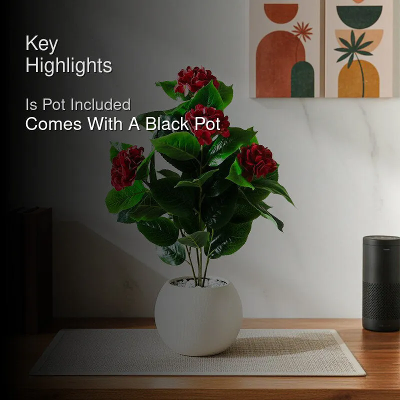 Faux Everlasting Hydrangea Plant With Black Plastic Pot (Red) - 76 cm (2.5 ft) - 2