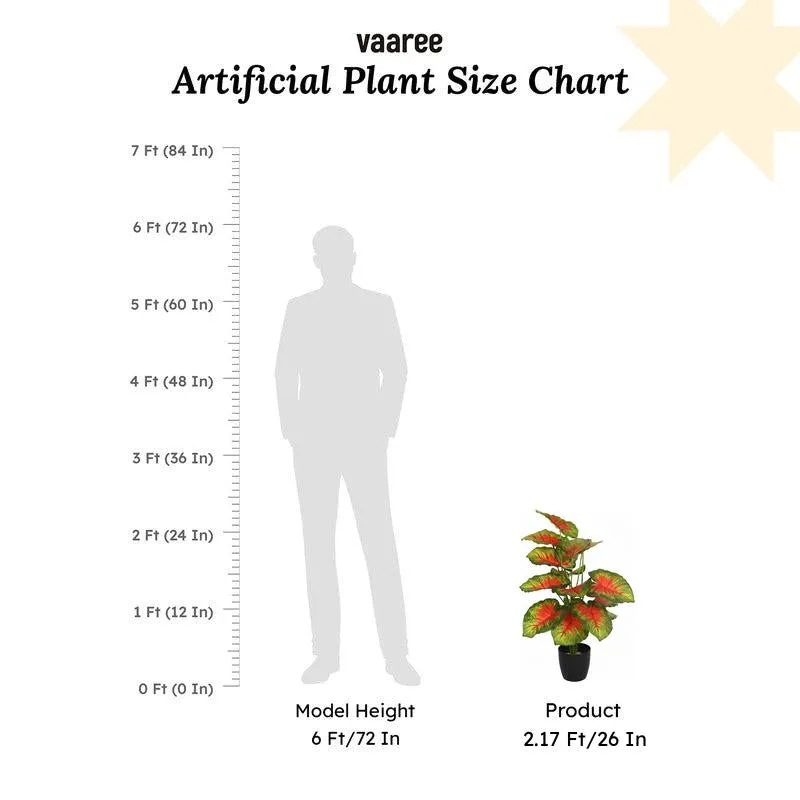 Calena Artificial Caladium With Black Plastic Pot - Red media 7