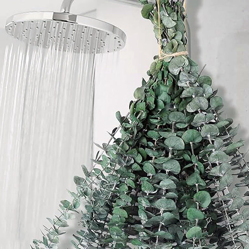 Eucalyssence Dried Eucalyptus Stems - Set Of Six media 4