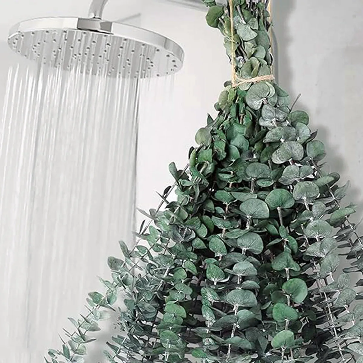 Dense eucalyptus foliage hanging beside a shower