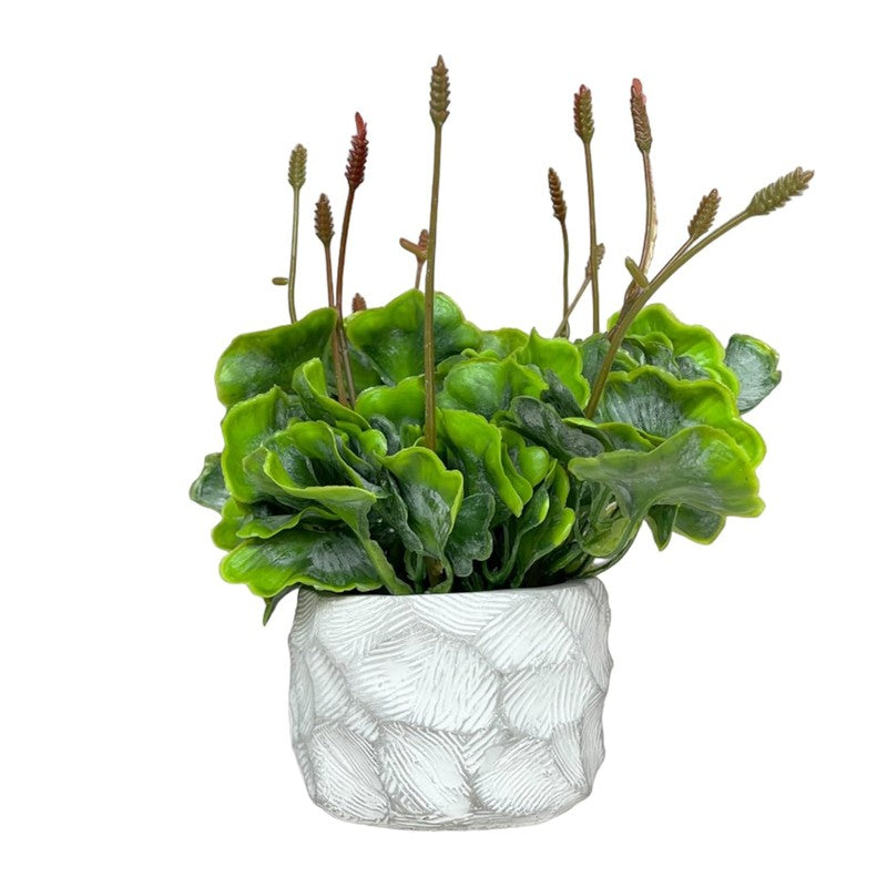 Faux  Tropical Moss With Ceramic Pot media 3