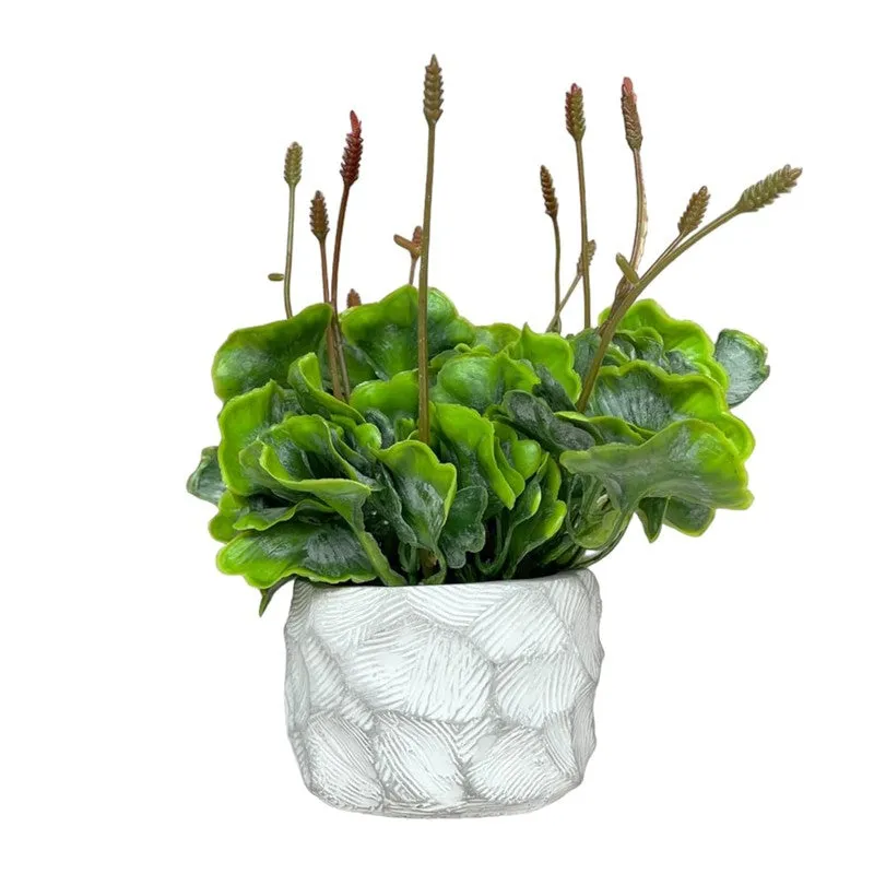 Faux  Tropical Moss With Ceramic Pot media 3