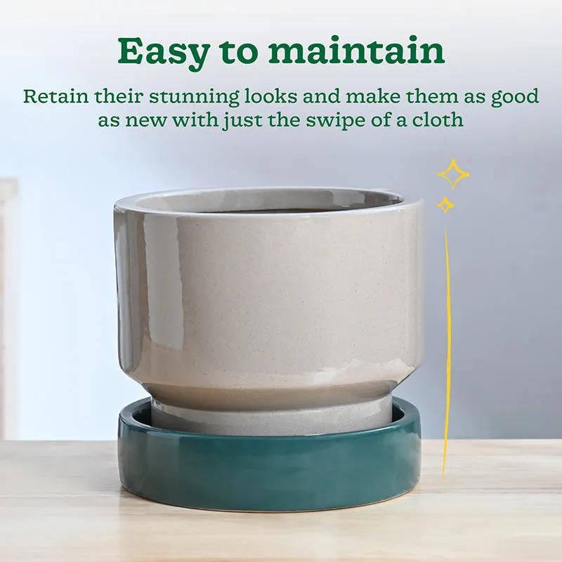 Ugaoo Pot-fection Ceramic Planter - Dark Green media 5