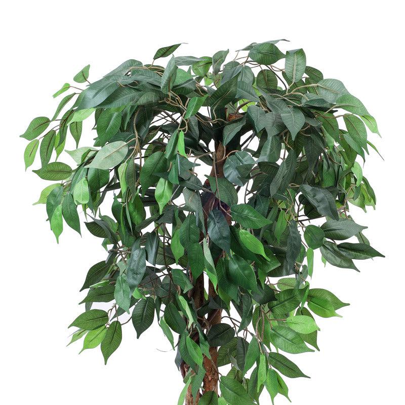 Artificial Realistic Ficus Plant With Black Plastic Pot - 3.9 Feet image 3