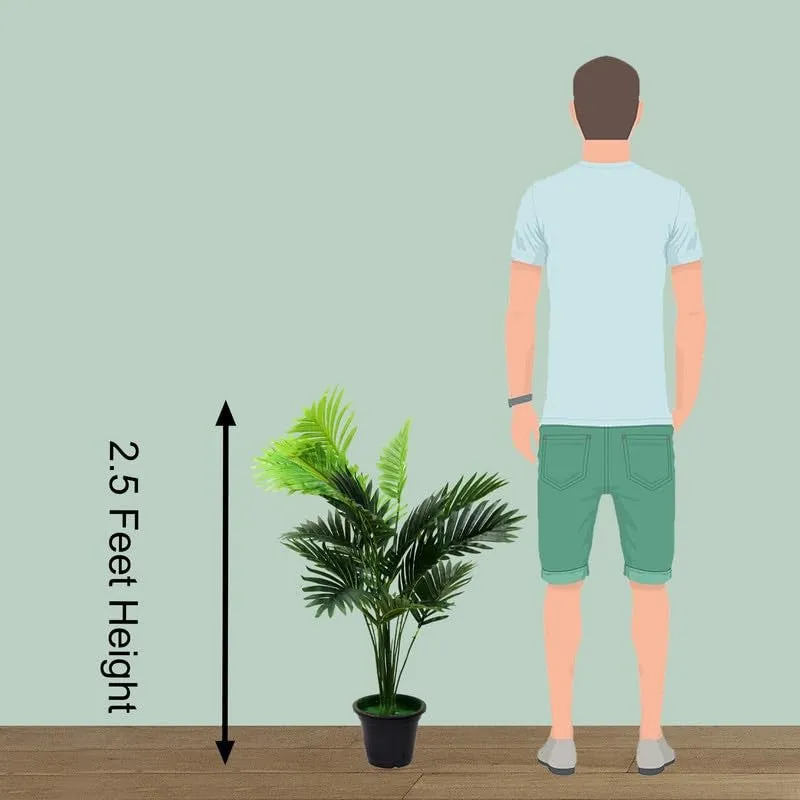 LuxeLeaf Faux Areca Plant - 2.5 Feet media 9