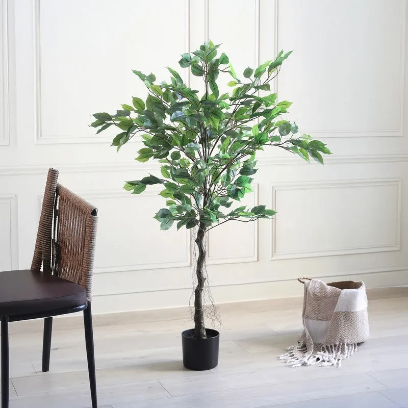 Evergreen Aura Artificial Plant With Black Plastic Pot - 4.2 ft media 4