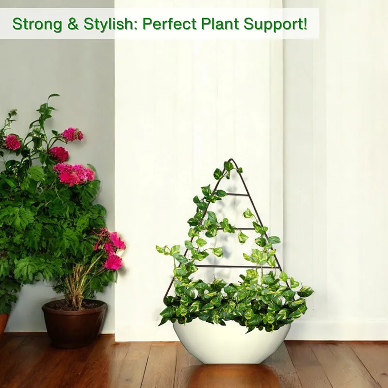 Polita Metal Trellis Planter Stand - Black media 3